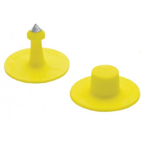 Neutral Allflex Button ear tags