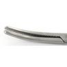Klemmer curved forceps for veterinarians