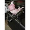 Castration holder for piglets 2/9 days