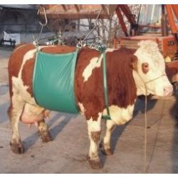 Alzabestiame a fascia per bovini