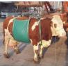 Alzabestiame a fascia per bovini
