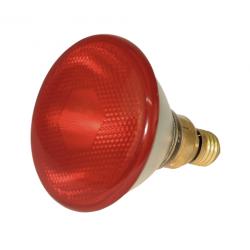 Eurofarm red lamp, 100 W (pack 12 pcs)