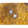 Uova artificiali per galline (conf. 2 pezzi)