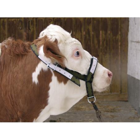 Reinforced halter for calves and young bulls
