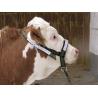 Reinforced halter for calves and young bulls