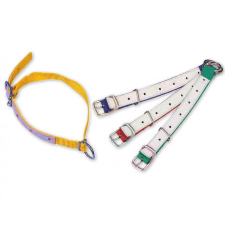 Collar azul para ovinos y caprinos