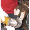 Disco abrasivo da 6 Cut - 3 Cut per mascalcia bovina