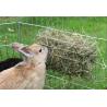 Rack for rabbits
