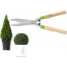 Forbici tagliasiepi da giardino
