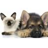 Ciotola in acciaio inox per cani e gatti