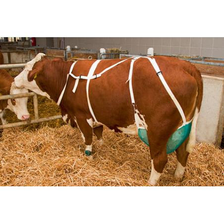 Red de protección para ubres de bovinos