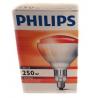 Philips red lamp, 250 W, soft glass (pack 10 pcs)