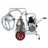 Sheep milking machine with 2 groups and 1 bin