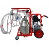 4-group sheep milking machine with 2 bins