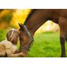 Guanti da equitazione per bambini ULTIMI PEZZI