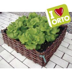 Vaso in salice per orto diverse dimensioni