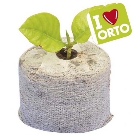 Pastiglie di fibra di cocco per semi (conf. 12 pezzi)