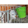 Calf suckling bucket with hygienic valve