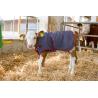 ThermoPlus thermal blanket for calves