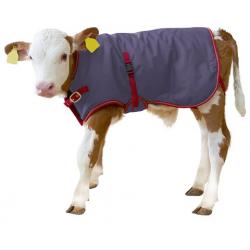 ThermoPlus thermal blanket for calves