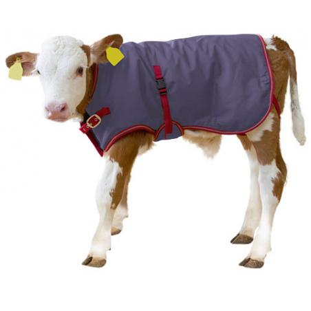 ThermoPlus thermal blanket for calves