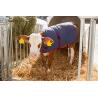 ThermoPlus thermal blanket for calves