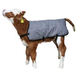 Thermal Ripstopp Blanket for calves