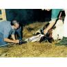HK 2060 extractor with steel head for calves