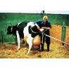 Extractor de terneros VINK