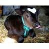 VINK extractor for calves