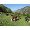 S60 double drinker for pasture tanks