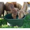 Pasture trough 150 lt - 380 lt