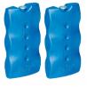 Ice plates 400 gr (pack of 2 glycol)