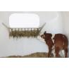 Long rack for animal boxes