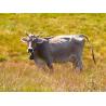Descornador de gas Buddex para terneros y cabras