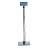 Different sizes livestock scales