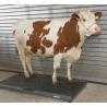 Different sizes livestock scales