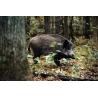 Electrified network against wild boars and wild animals