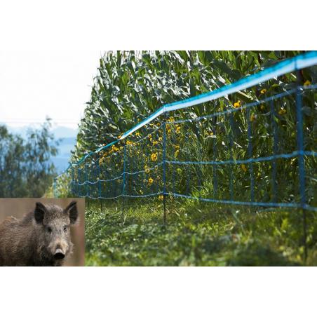 Electrified network against wild boars and wild animals
