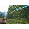 Electrified network against wild boars and wild animals