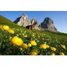 Isolatore Euro per corde elettriche (conf. 25 pezzi)
