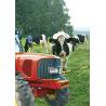 Automatic electric gate for fences