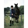 Automatic electric gate for fences