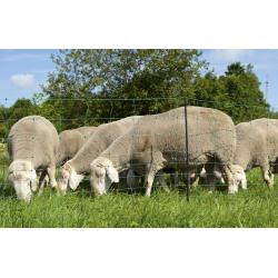 Green OviNet net for goats and sheep