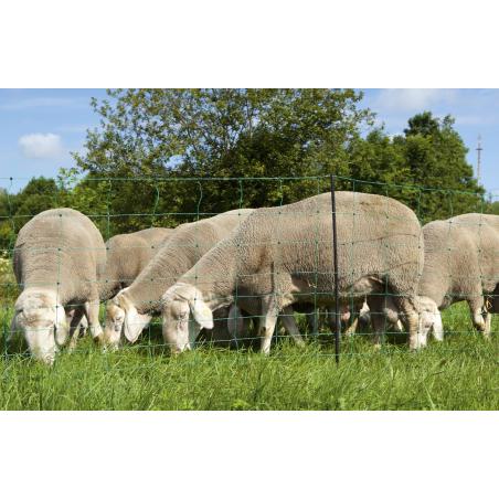 Green OviNet net for goats and sheep