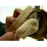 Demotec95 kit for cattle hooves