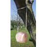 Himalaya salt stone to lick