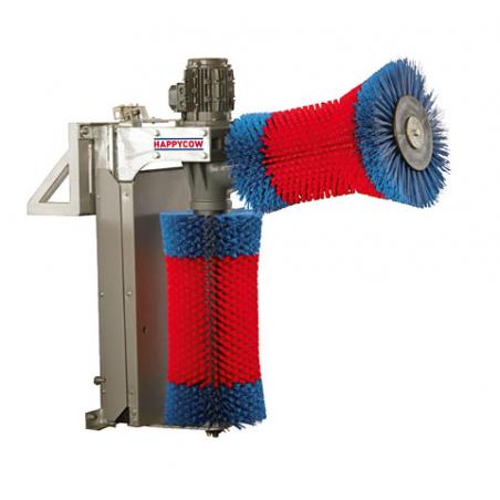 Automatic double brush for cattle