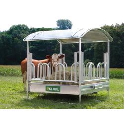 Rectangular ball holder for cattle