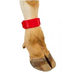 Plastic foot strap for cattle